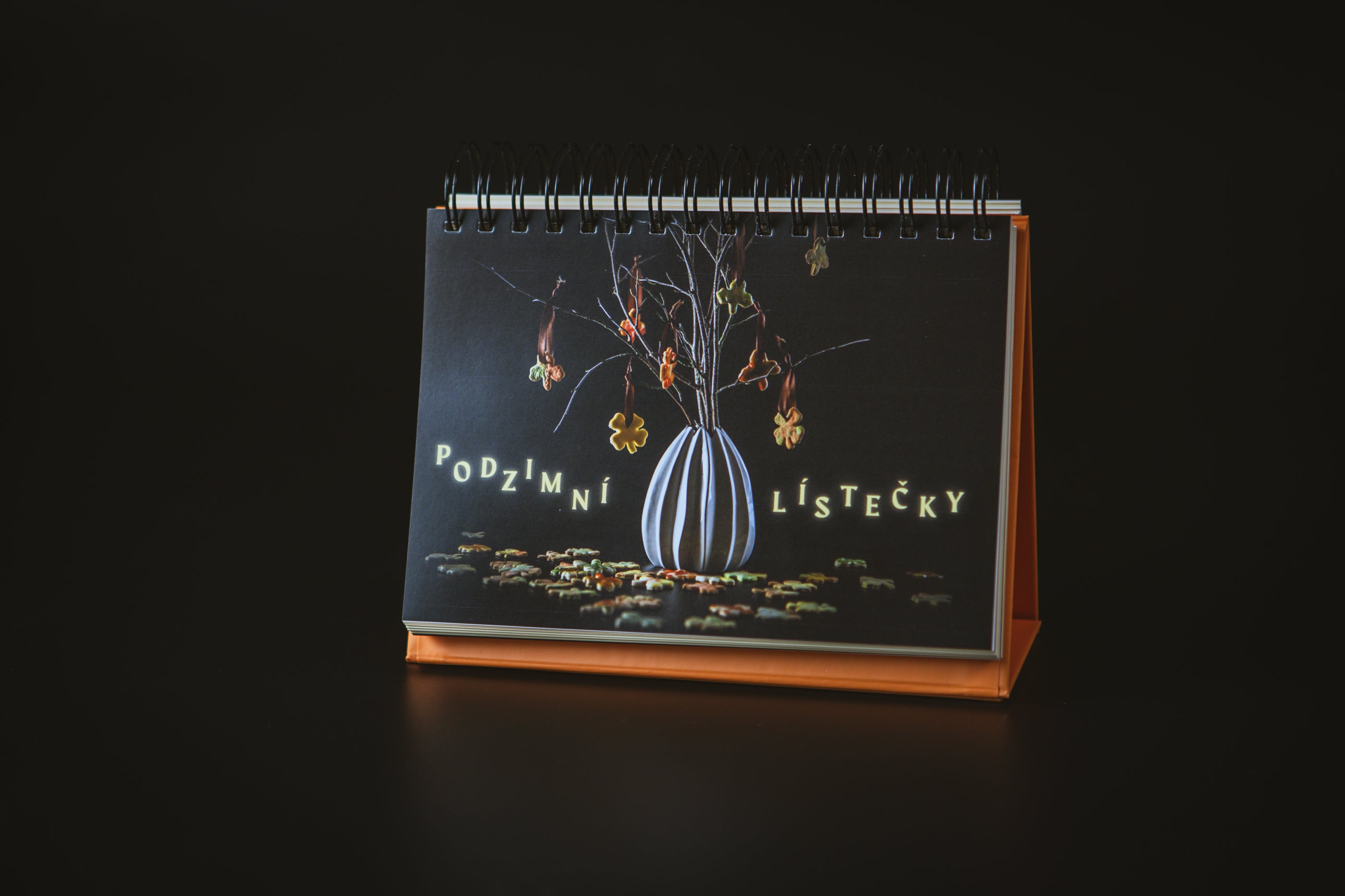 Kouzelná kuchařka - Podzim