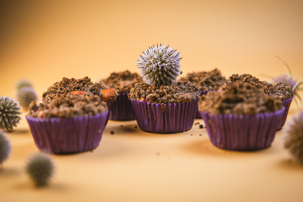 Kouzelná kuchařka - Podzim