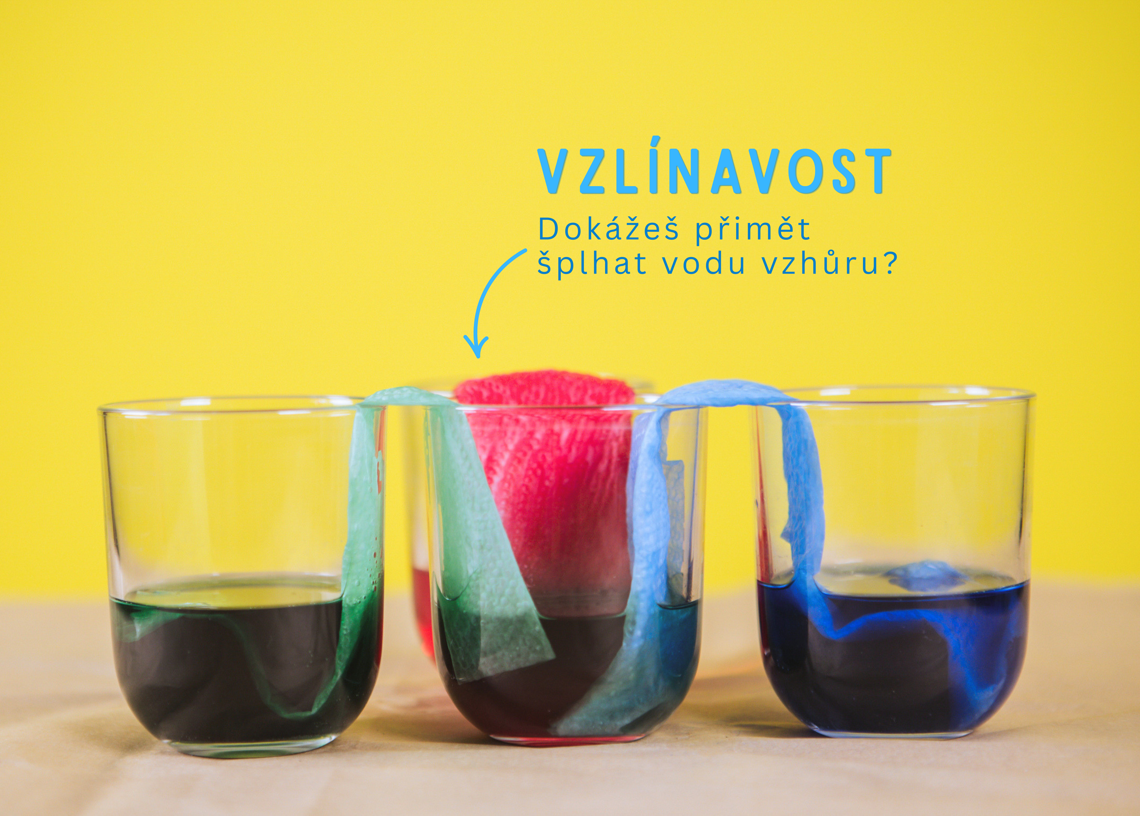 Kouzelné bádání - Léto